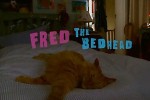 Whiskas - Fred